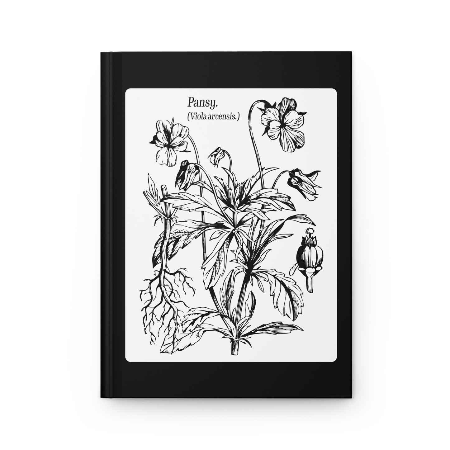 Pansy A** Journal