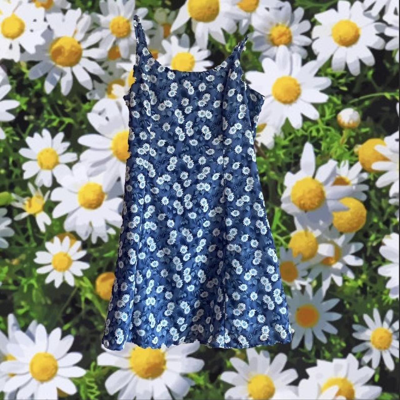 Daisy Skater Dress